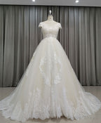 Light Champagne Tulle Lace Long Wedding Dress Lace Bridal Dresses