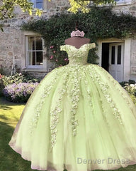 Light Sage Tulle Off Shoulder Ball Gown Appliques Dress