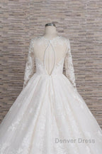 Long A-line V-neck Tulle Appliques Lace Wedding Dresses with Sleeves
