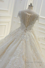 Luxurious Ball Gown Long Sleevess Lace Applqiues Beadings Wedding Dresses
