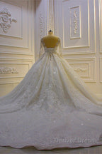 Luxury Long Ball Gown Lace Appliques Wedding Dresses with Sleeves