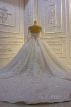 Luxury Long Ball Gowns Lace Appliques Wedding Dresses with Sleeves
