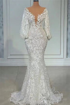 Mermaid V Neck Lace Floor Length Long Sleeve Applique Beaded Wedding Dresses