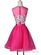 New Appliqued A Line Tulle Scoop Short Homecoming Dresses See Through