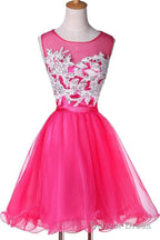 New Appliqued A Line Tulle Scoop Short Homecoming Dresses See Through