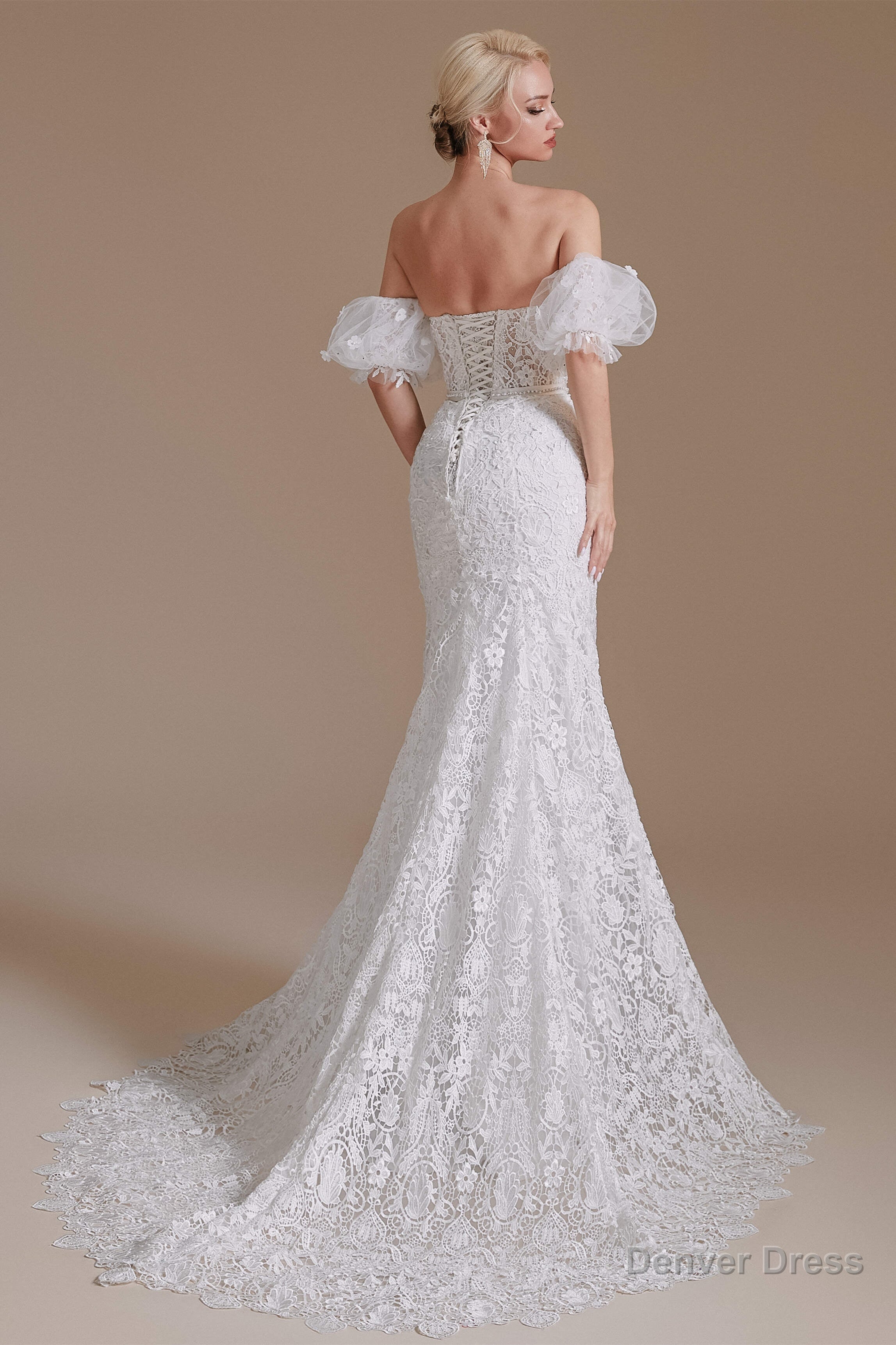 Sweetheart Puff Sleeve Off the Shoulder Lace Long Wedding Dresses