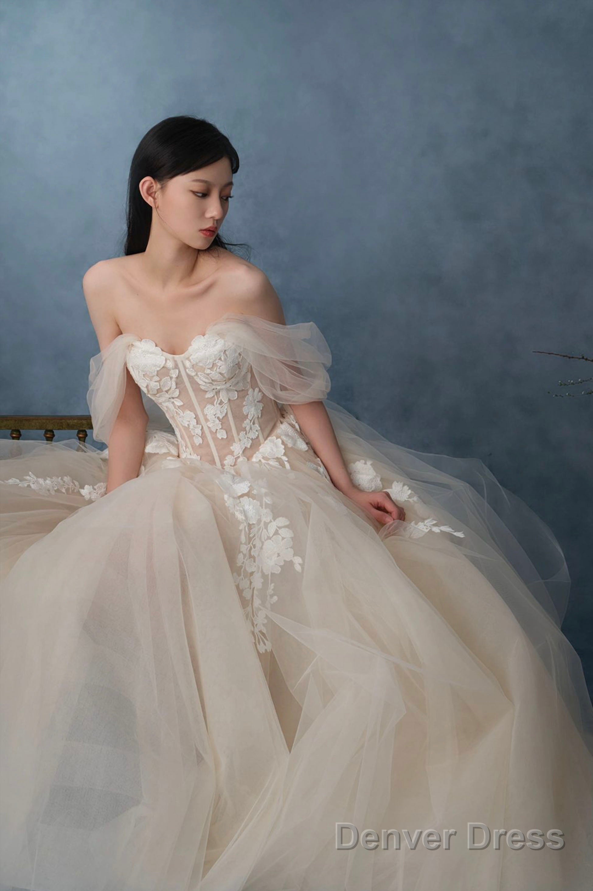 Off The Shoulder Lace Long Champagne Prom Dress, Lace Evening Formal Gown Secondary image