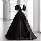 Princess Ball Gown Black Lace Long Prom Dresses