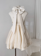 Princess Bowknot Halter Neck Sling Waist Net Tulle Puffy Birthday Party Dresses Homecoming Dresses