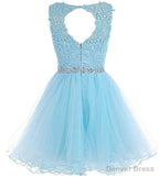 Charming Light Champagne Short Lace Beaded Party Dress, Tulle Homecoming Dress, Formal Dress