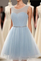 Simple Light Blue Short Tulle Cheap Elegant Charming Homecoming Dresses