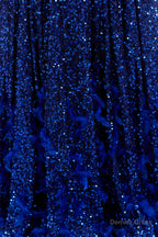 Sequins Long Sleeve Feather A Line Floor Length Prom Dresses