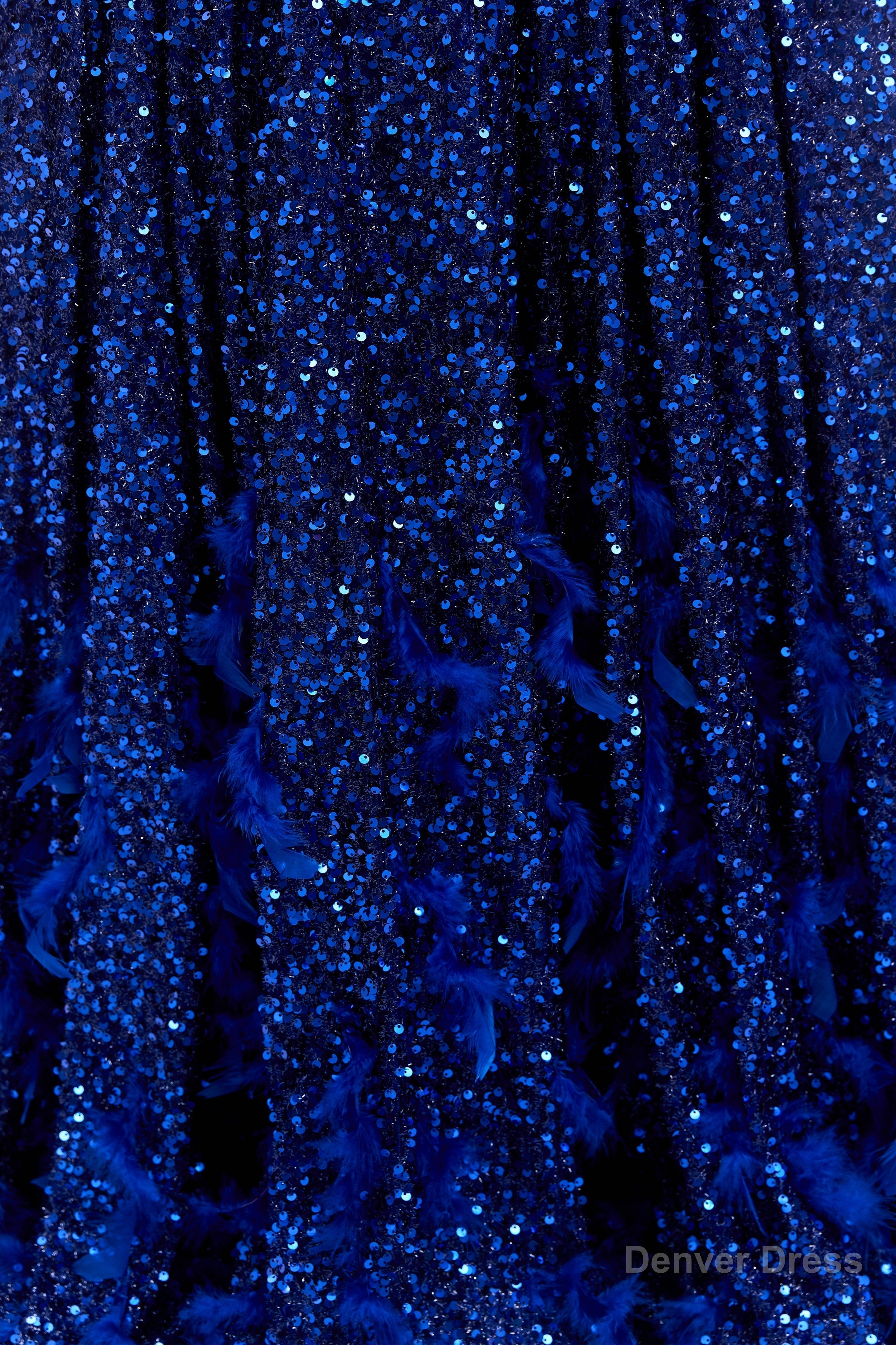Sequins Long Sleeve Feather A Line Floor Length Prom Dresses