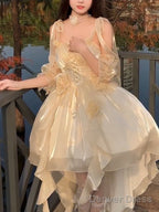 Sexy High Low Spaghetti Straps Champagne Holiday Dresses Night Dress Birthday Outfits