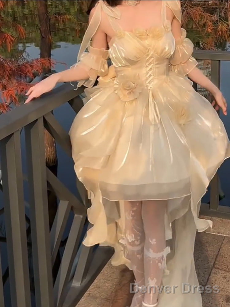 Sexy High Low Spaghetti Straps Champagne Holiday Dresses Night Dress Birthday Outfits Main image