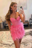 Sheath Sweetheart Lace Feather Skirt Homecoming Dresses