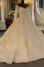 Shinny Long Ball Gowns Sweetheart Tulle Lace Wedding Dresses with Sleeves