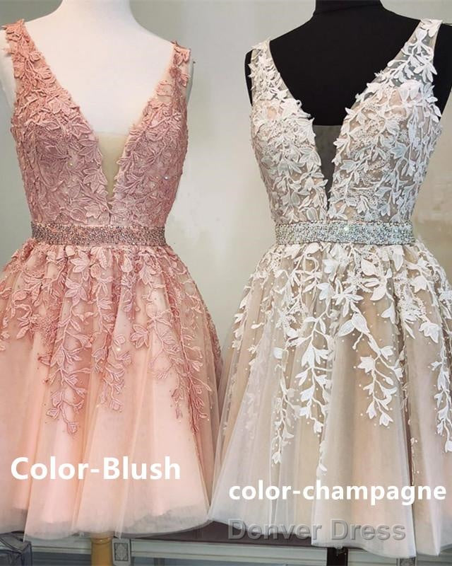 Short V Neck Tulle Prom Homecoming Dresses Lace Embroidery