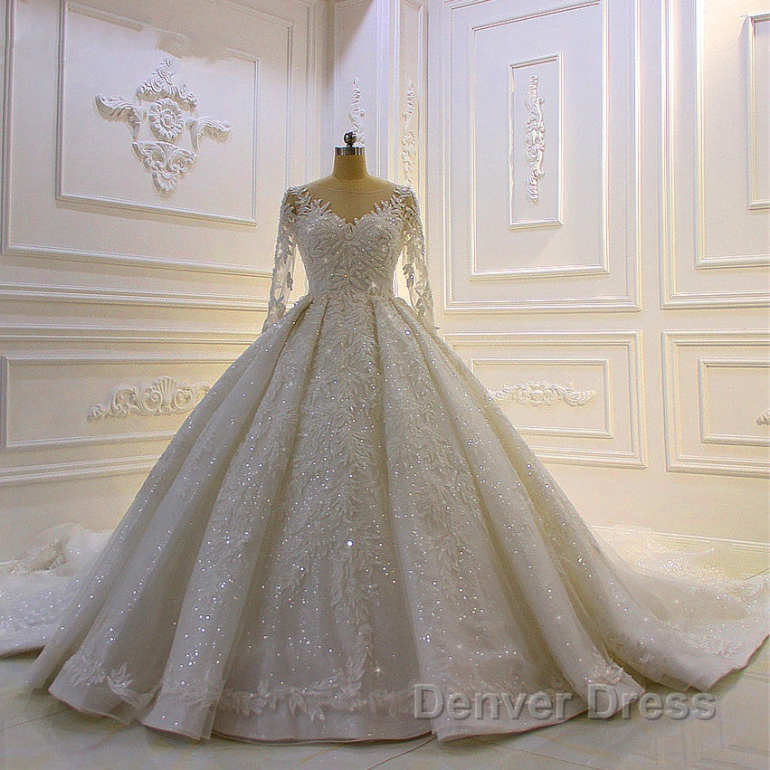 Sparkle 3D Lace Appliques Long Sleevess Church Train Wedding Dresses