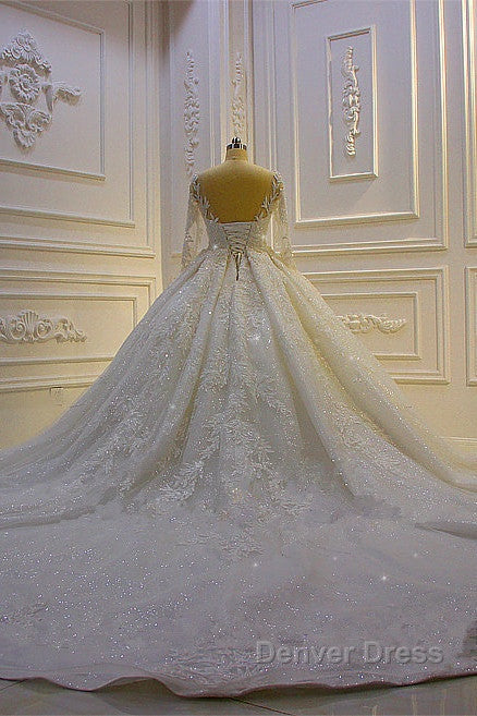 Sparkle 3D Lace Appliques Long Sleevess Church Train Wedding Dresses