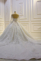 Sparkle 3D Lace Appliques Long Sleevess Church Train Wedding Dresses