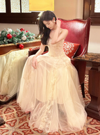 Sweet Cream Apricot A-Line Spaghetti Strap Lace Tulle Long Prom Dresses Evening Dresses