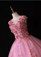 Sweet Princess Pink Crew Neck Embroidered Tulle Long Prom Dresses Evening Dresses