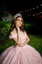 Tulle Princess Off Shoulder Long Prom Dress, Long Strapless Pink Flower Appliqu¨¦S Prom Dresses
