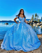 Tulle Princess Off Shoulder Long Prom Dress, Long Strapless Pink Flower Appliqu¨¦S Prom Dresses