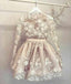 Unique Round Neck Champagne Lace Short Prom Dress, Homecoming Dresses