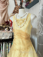 Vintage Yellow A-Line Boat Neck Tulle Long Prom Dresses Simple Embroidery Applique Evening Dresses