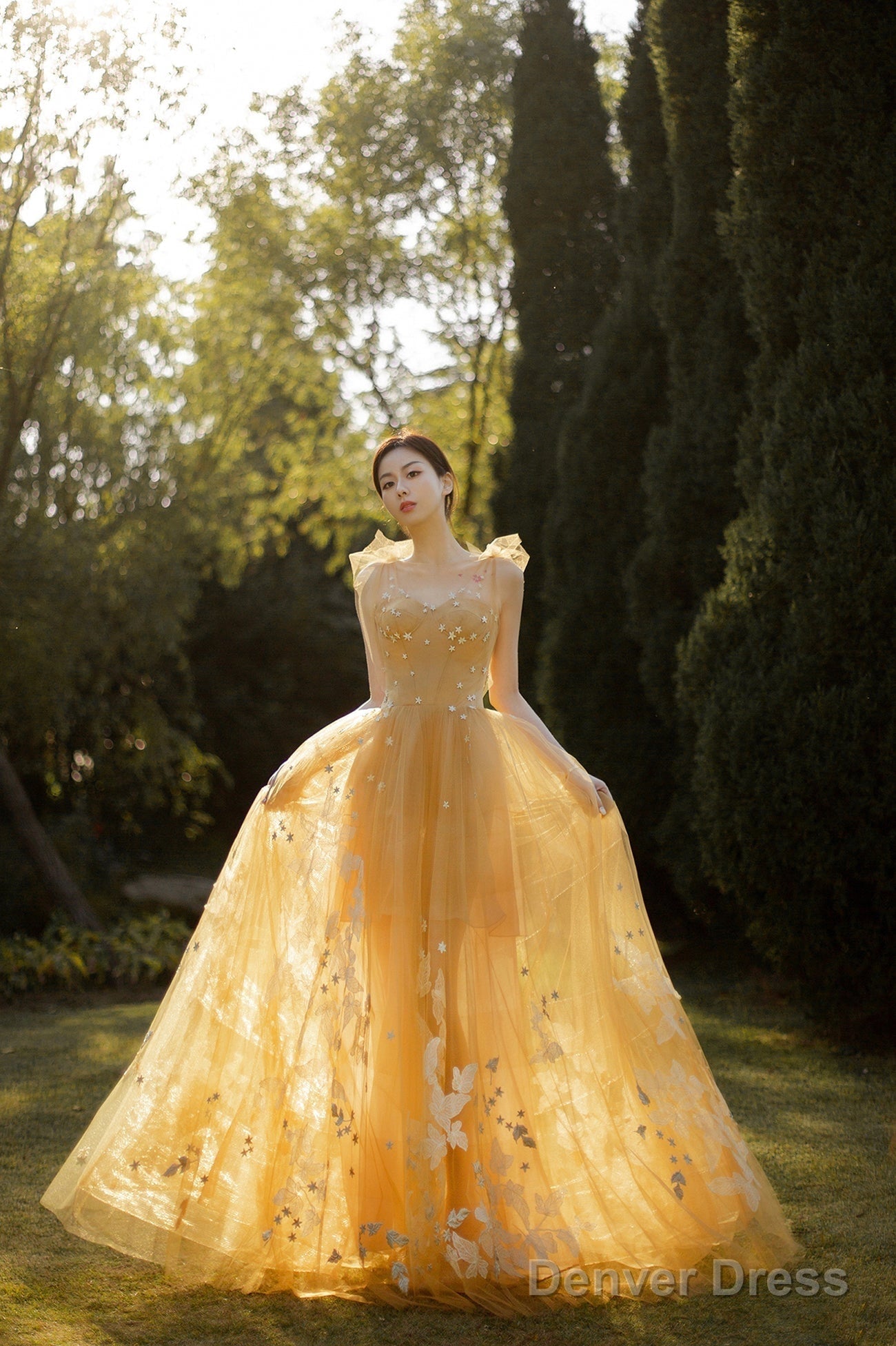 Yellow Tulle Lace Long Prom Dresses, A-Line Evening Gowns