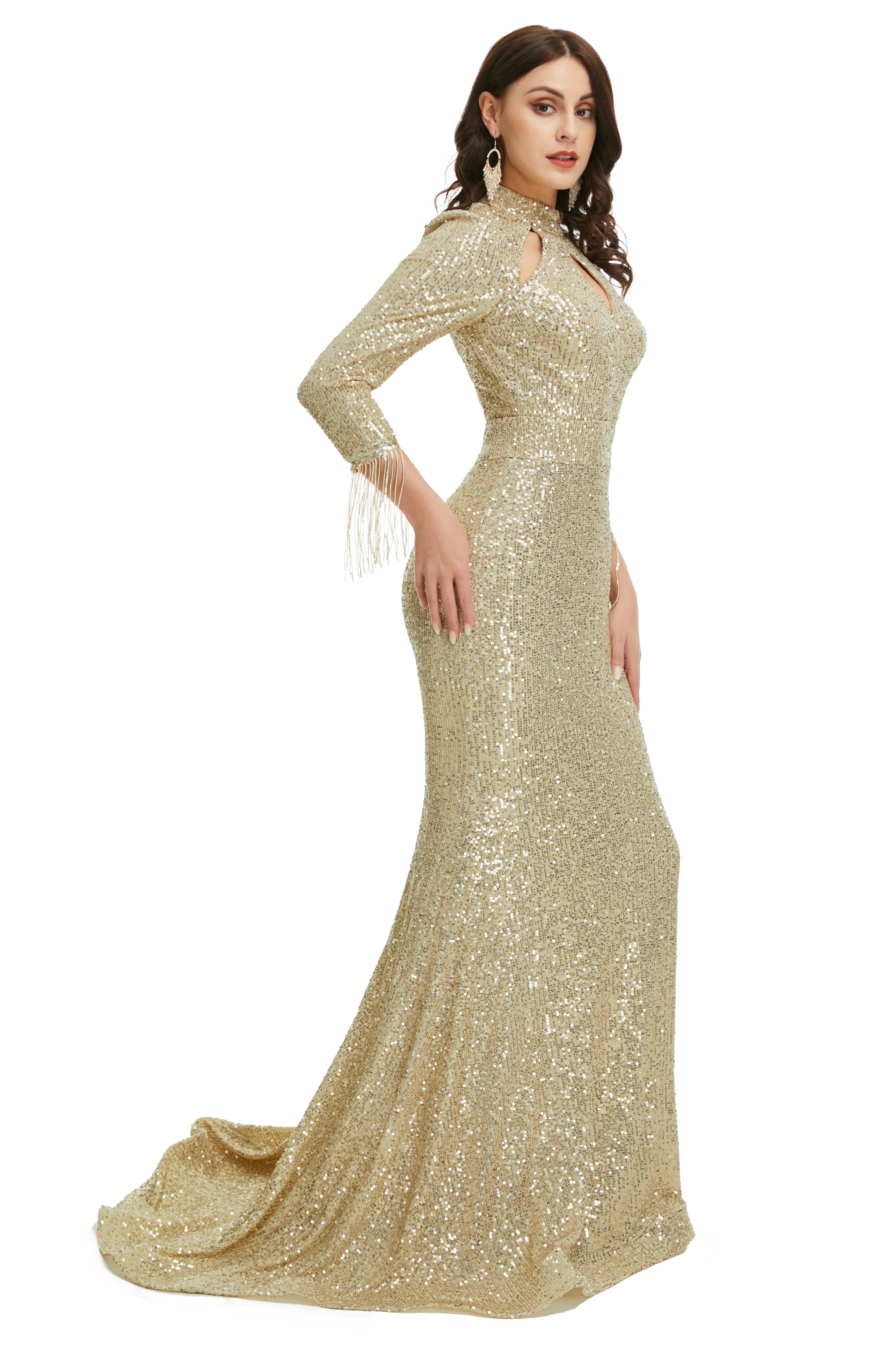 Long Prom Dresses, Full Sleeve Dresses, Party Dress, 2023 Formal Gowns