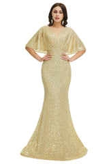 Long Prom Dresses, 2024 Formal Dresses, V Neck Prom Dress, Floor Length Gowns