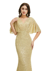 Long Prom Dresses, 2024 Formal Dresses, V Neck Prom Dress, Floor Length Gowns