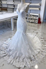 Luxury V Neck Lace Tulle Mermaid Wedding Dresses with Appliques