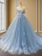 Ball-Gown Off-the-Shoulder Appliques Lace Sweep Train Tulle Dress