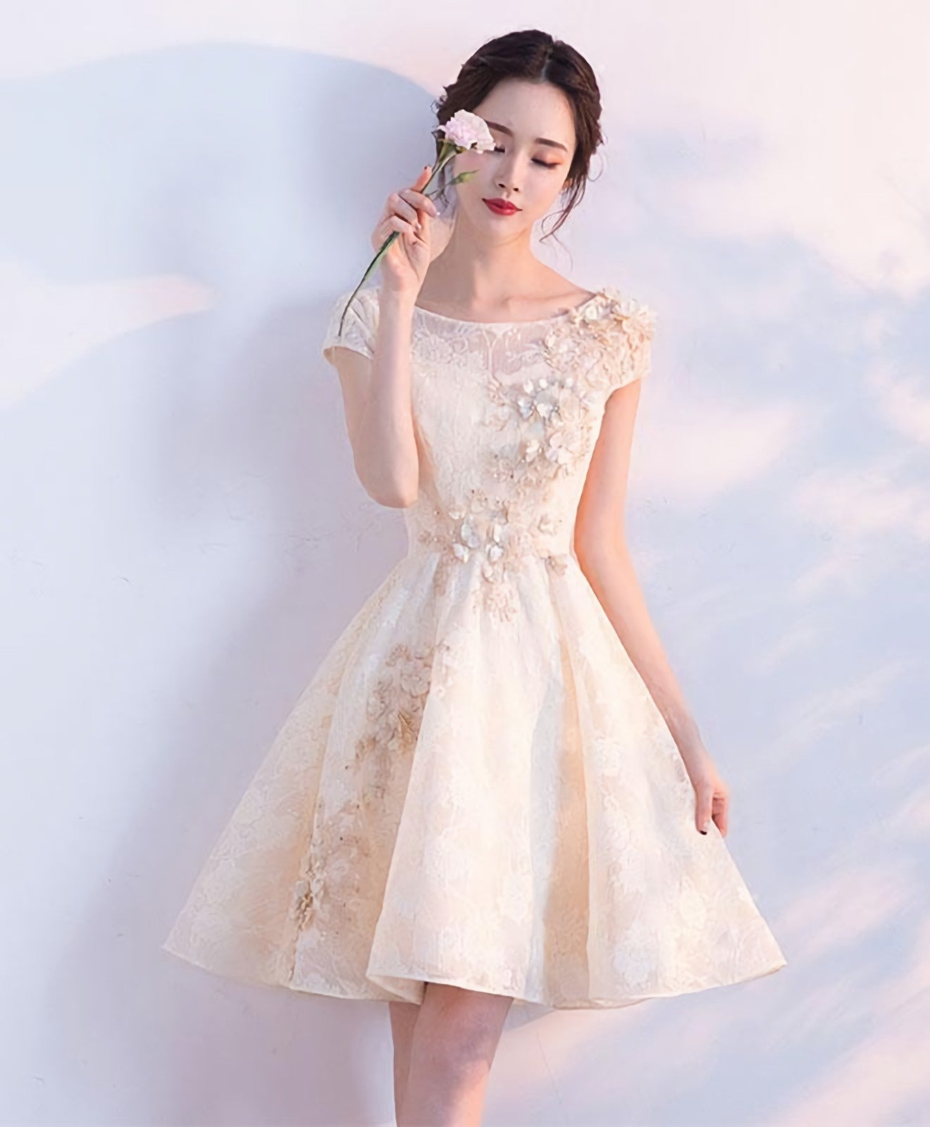 Champagne A Line Tulle Lace Short Prom Dress, Champagne Evening Dress Main image