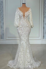Elegant Long Mermaid V-neck Tulle Lace Wedding Dress with Sleeves
