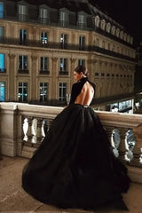 High Neck Black Ball Gown Prom Dresses With Long Sleeves Formal Dresses