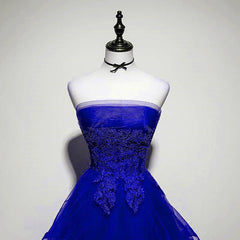 Royal Blue Tulle with Lace Applique High Low Party Dress Outfits For Girls, Blue Homecoming Dress