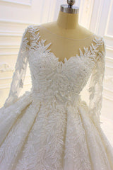 Sparkle 3D Lace Appliques Long Sleevess Church Train Wedding Dress